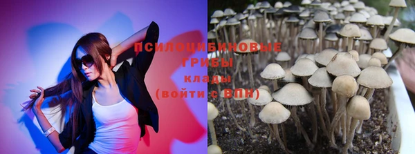 прущие крисы Алексеевка