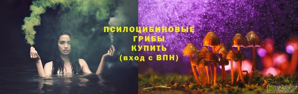 прущий лед Алексин