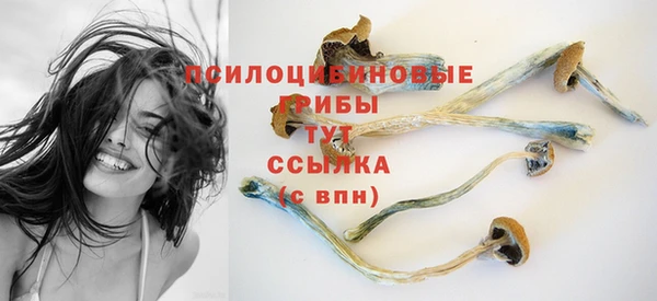 прущие крисы Алексеевка