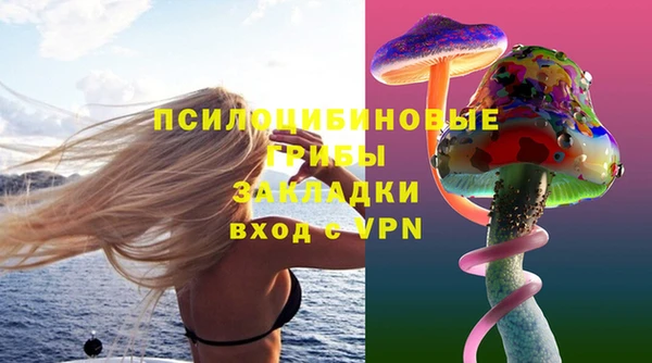 прущие крисы Алексеевка