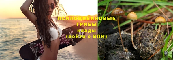 прущие крисы Алексеевка
