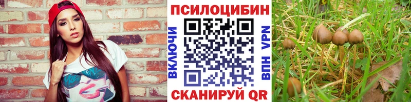 Купить закладки  Мостовской  Псилоцибиновые грибы прущие грибы 
